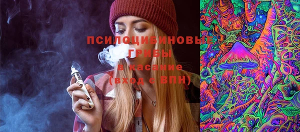 ПСИЛОЦИБИНОВЫЕ ГРИБЫ Белокуриха