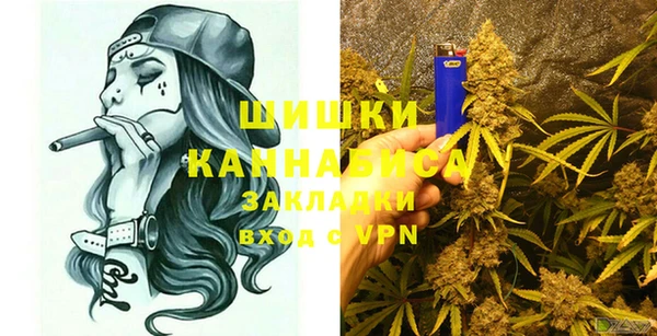 ПСИЛОЦИБИНОВЫЕ ГРИБЫ Белокуриха