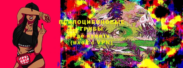 мдпв Беломорск