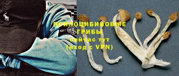 мдпв Беломорск
