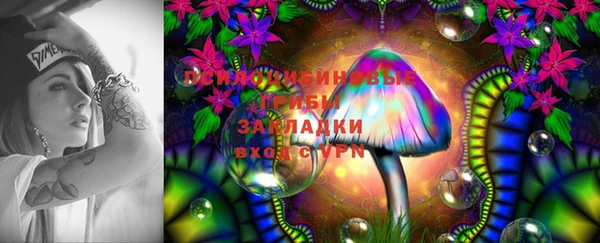 мдпв Беломорск