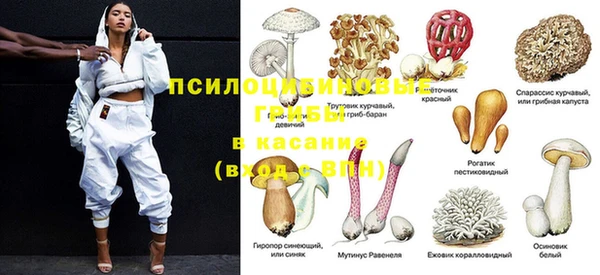 бошки Белоозёрский