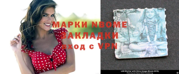 ПСИЛОЦИБИНОВЫЕ ГРИБЫ Белокуриха