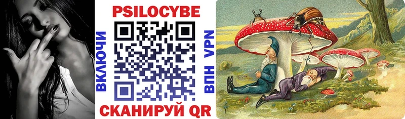 мориарти клад  продажа наркотиков  Вольск  Псилоцибиновые грибы Cubensis 